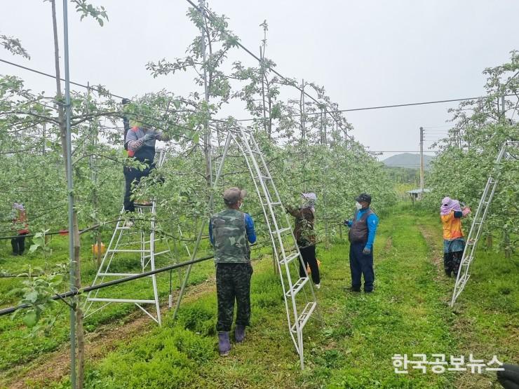 기사 사진