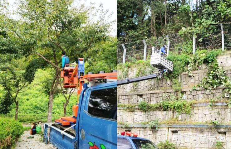 기사 사진