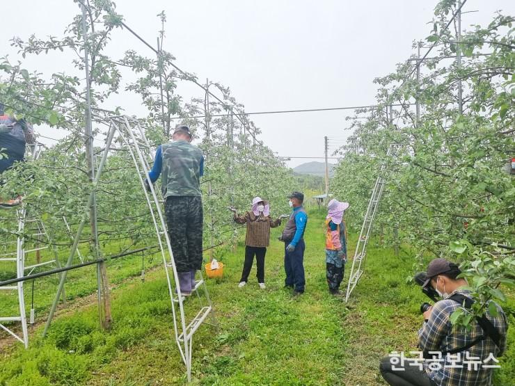 기사 사진
