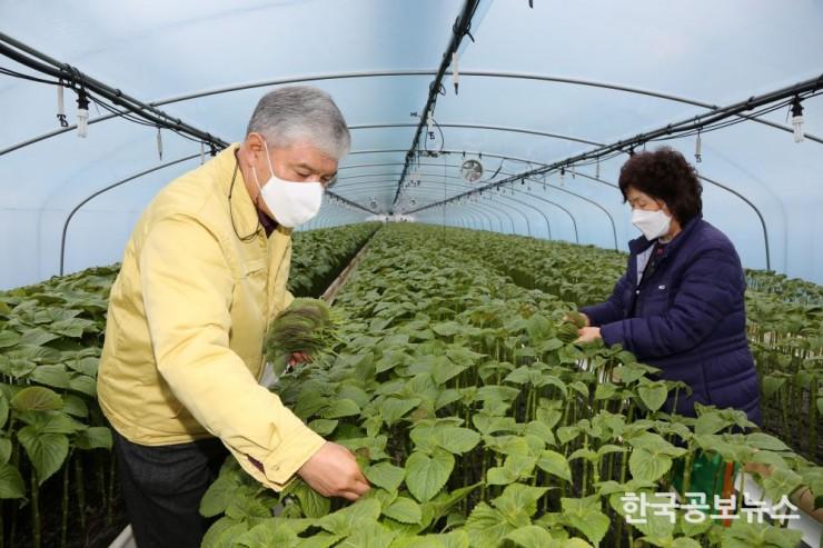 기사 사진