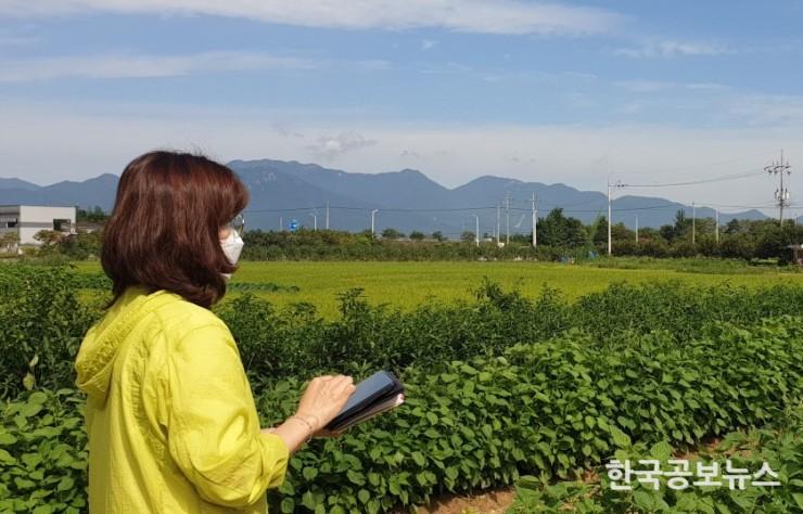 기사 사진