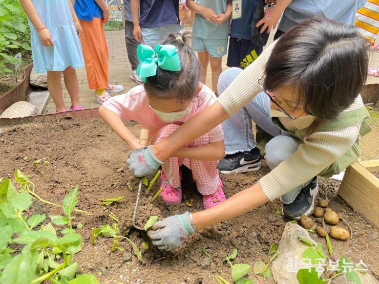 기사이미지 https://kpnnews.cdn.ntruss.com/202406040323201717482200804
