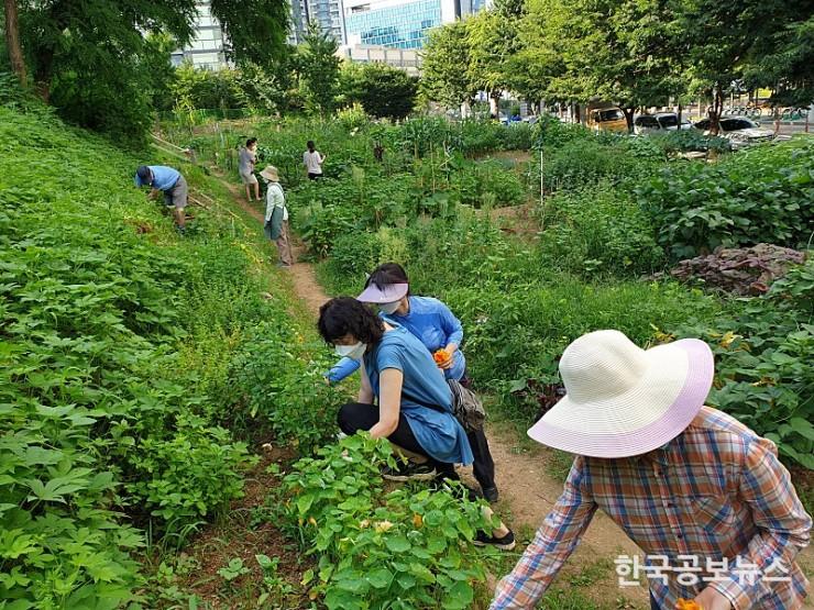 기사 사진