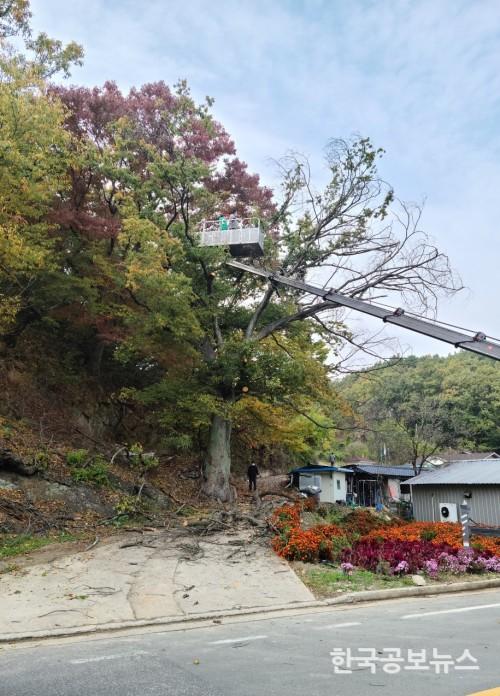 기사 사진