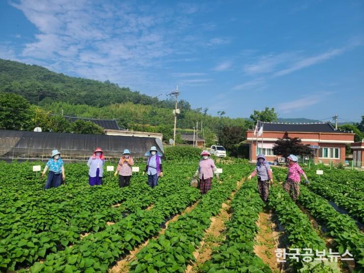 기사 사진