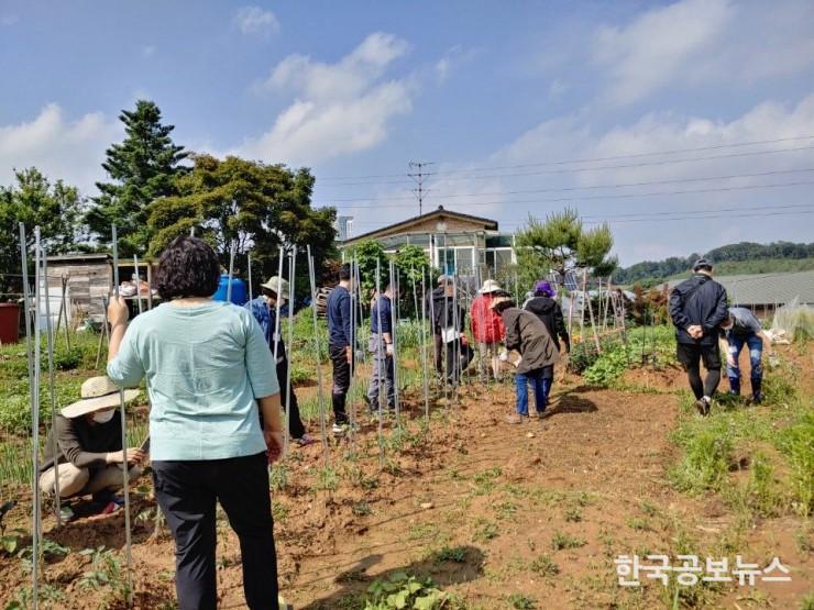 기사 사진