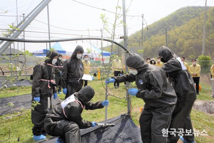 기사 사진