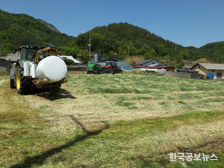 기사 사진