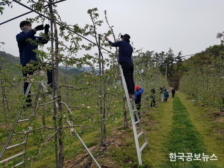 기사 사진
