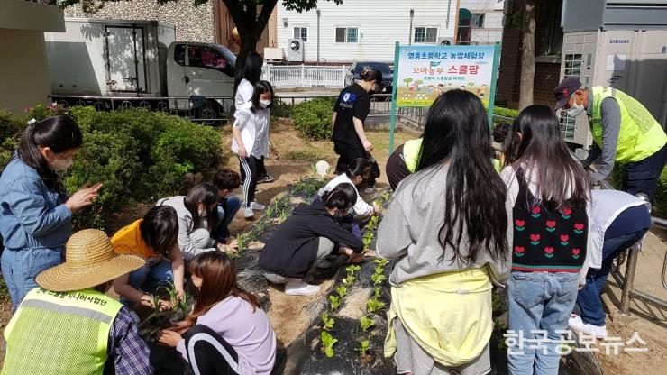 기사 사진