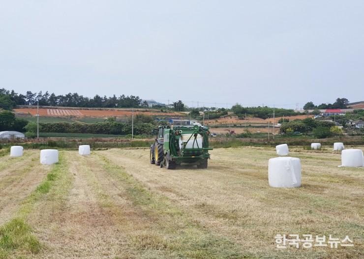 기사 사진