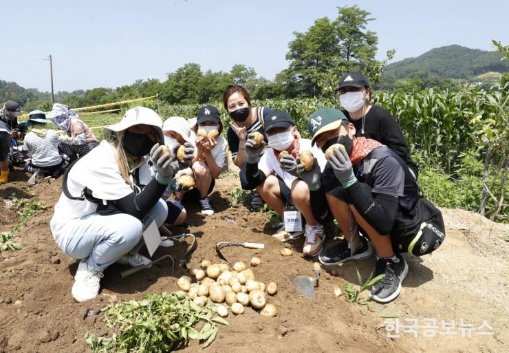 기사 사진