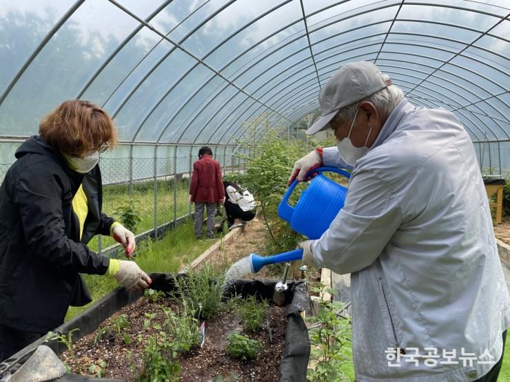 기사 사진