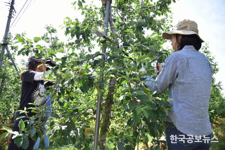 기사 사진
