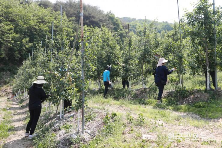기사 사진