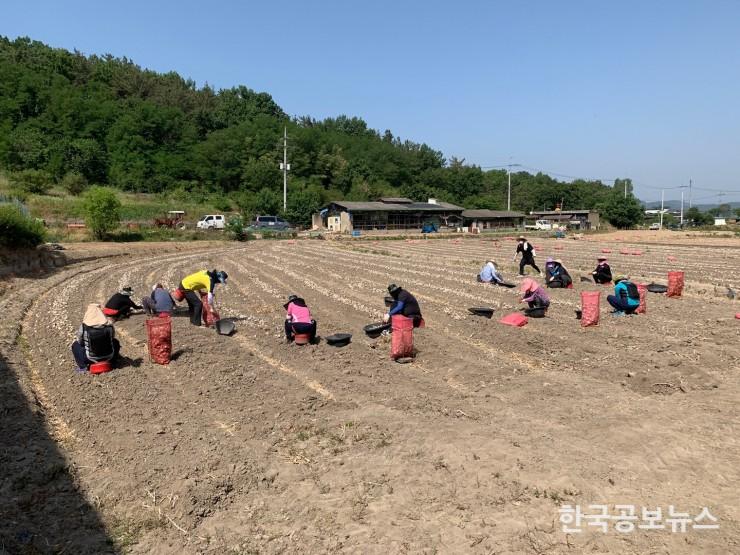 기사 사진