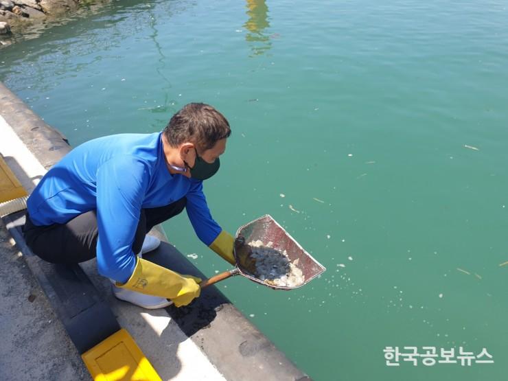 기사 사진