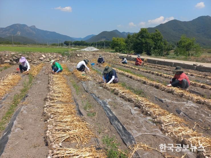 기사 사진
