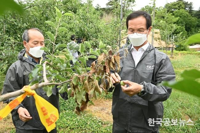 기사 사진