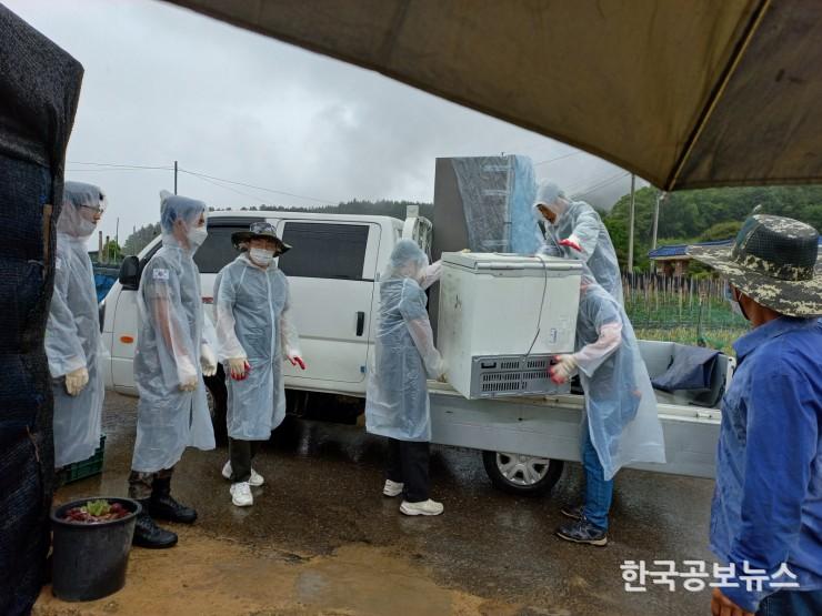 기사 사진