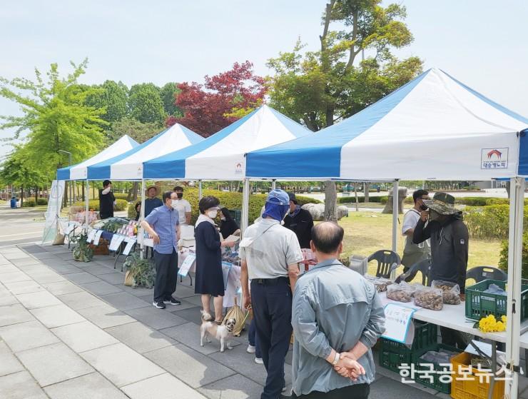 기사 사진