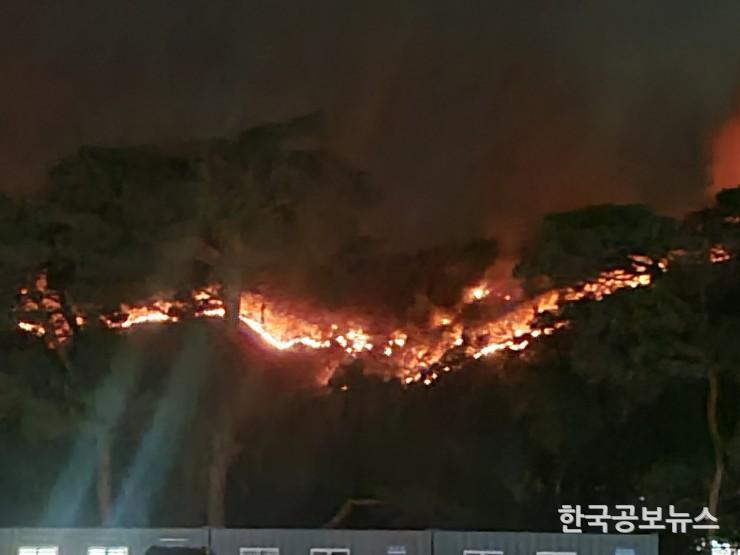 기사 사진
