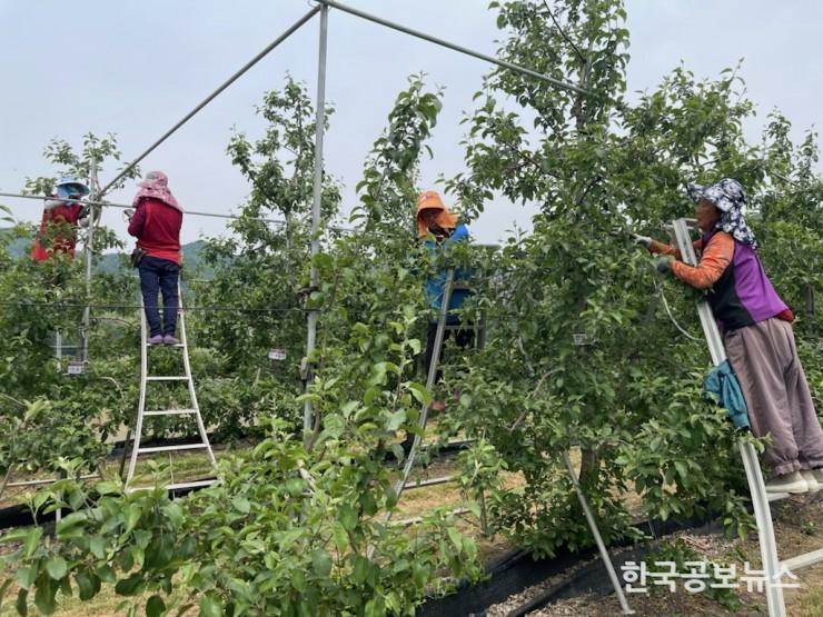 기사 사진