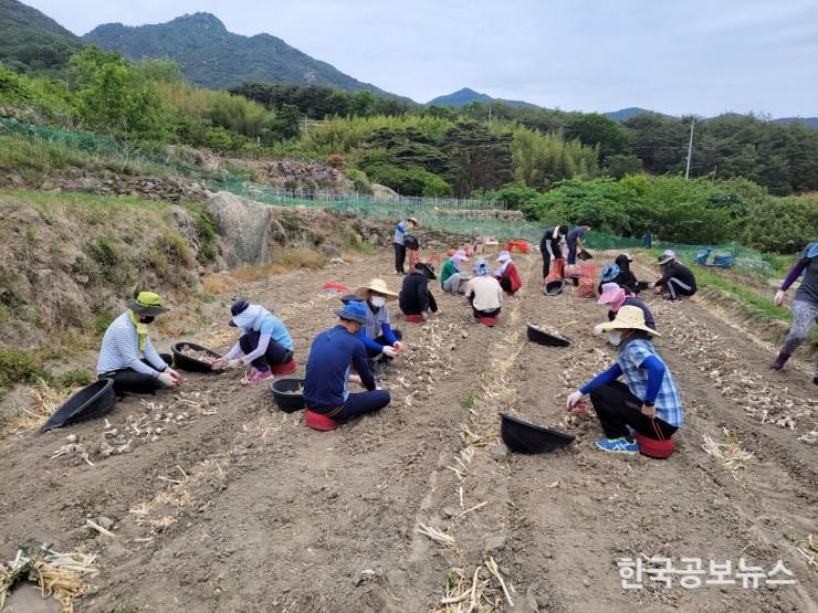 기사 사진