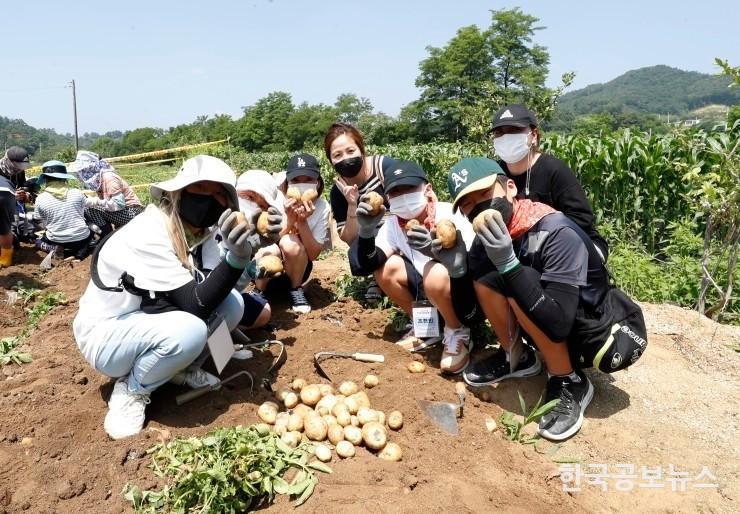 기사 사진