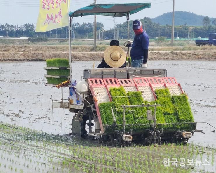 기사 사진