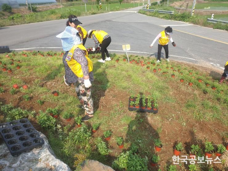 기사 사진