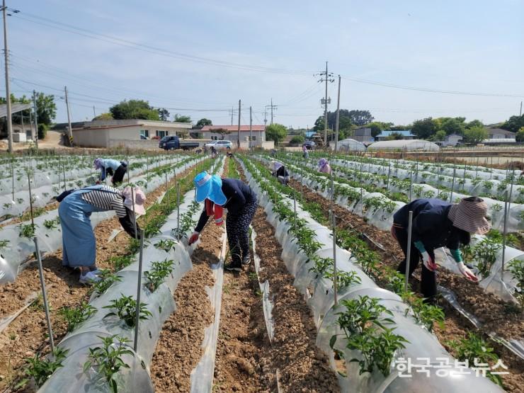 기사 사진