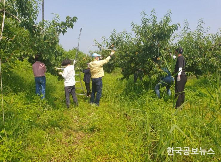 기사 사진