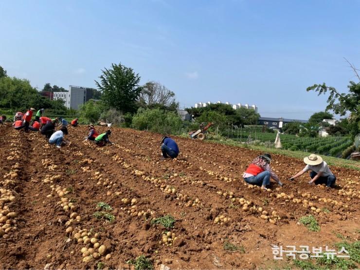 기사 사진