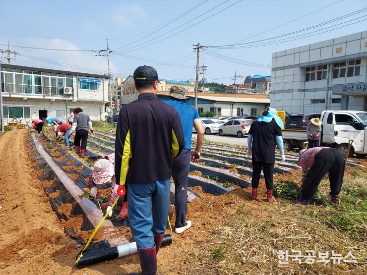 기사 사진