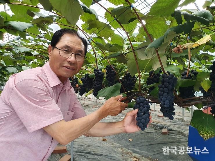 기사 사진