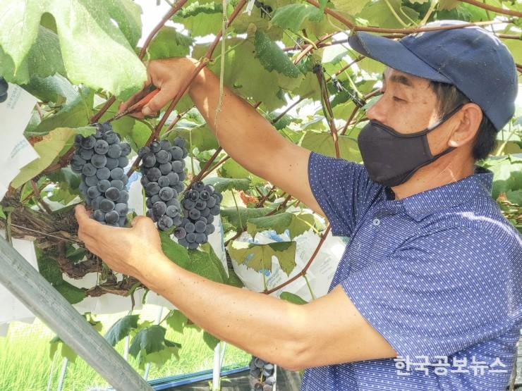 기사 사진