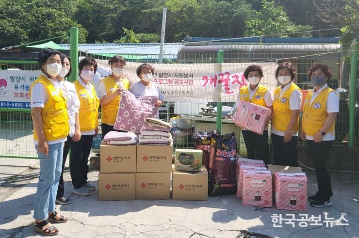 기사 사진