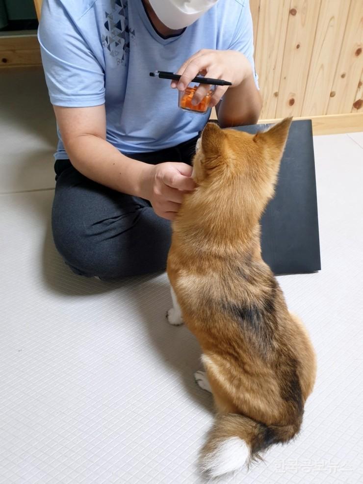 기사 사진