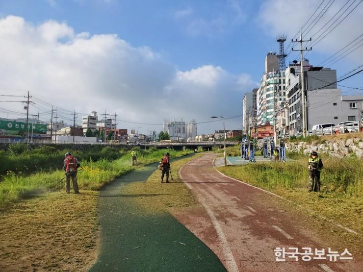 기사 사진