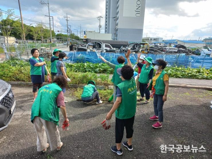 기사 사진