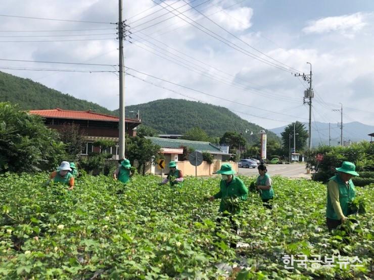 기사 사진