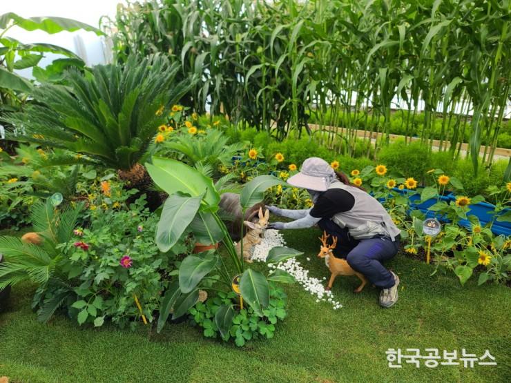 기사 사진