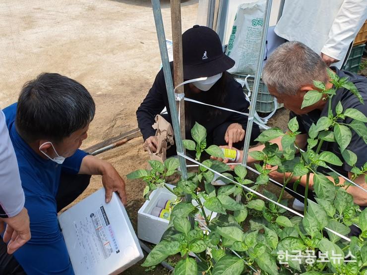 기사 사진