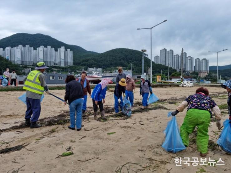 기사 사진