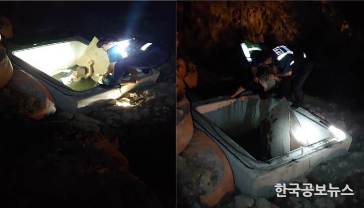 기사 사진