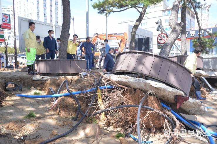 기사 사진