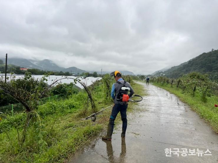 기사 사진
