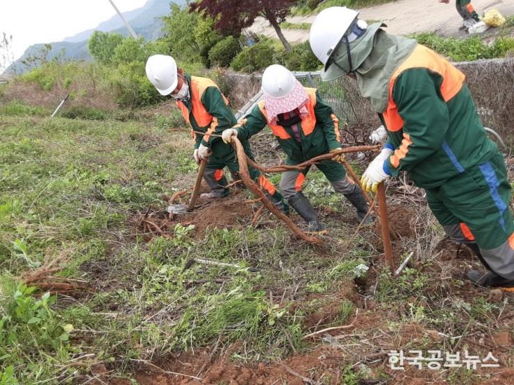 기사 사진