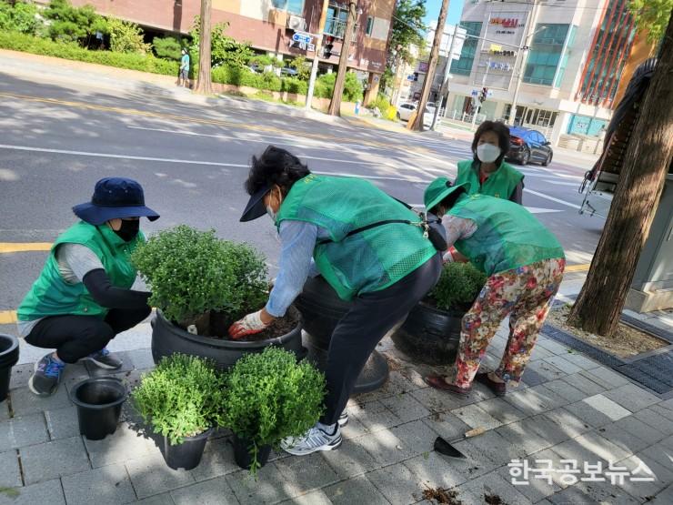기사 사진